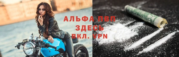 крисы Абаза