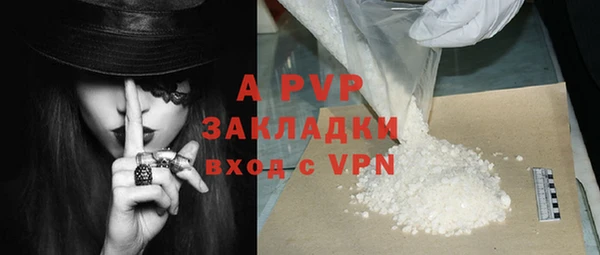 крисы Абаза