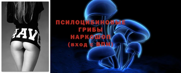 крисы Абаза