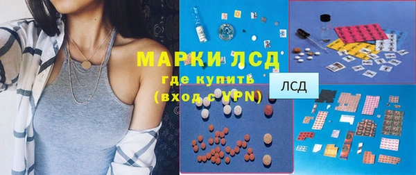 хмурый Алексин