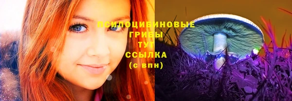 крисы Абаза
