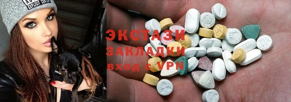 хмурый Алексин