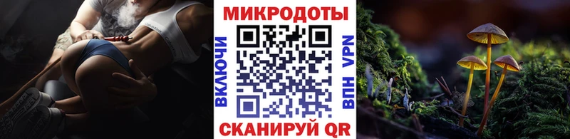 где найти наркотики Злынка Галлюциногенные грибы MAGIC MUSHROOMS